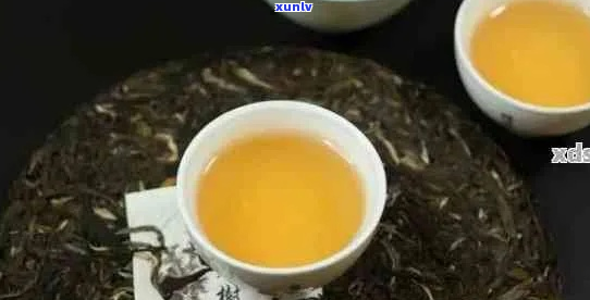 探索王子普洱茶的独特魅力：口感与品质深度解析