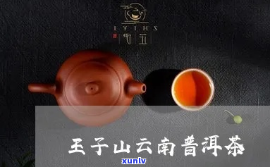 普洱茶王子山价格查询及产区分析