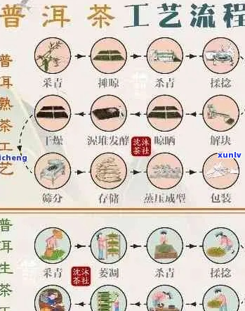 普洱茶陈化与风味演变的奥秘