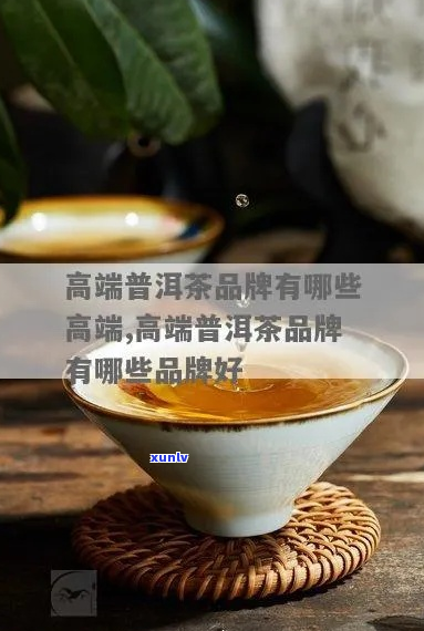 高端普洱茶推荐-高端普洱茶推荐品牌