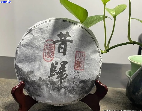 高端普洱茶推荐-高端普洱茶推荐品牌