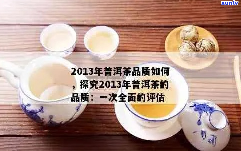 探索顶级普洱茶品鉴 - 发现品质越之选