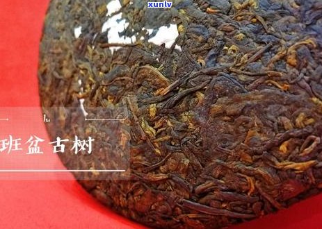 普洱茶中甜味成分解析：探索那些让人感到甜蜜的茶款