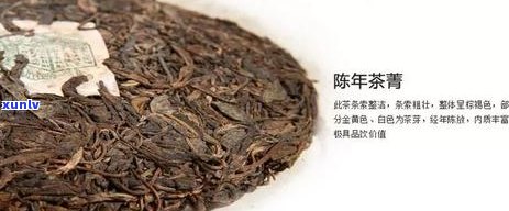 探索普洱茶的迷人甜度：哪些茶类让你一喝就爱上