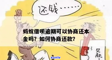 借呗逾期能协商还本金嘛