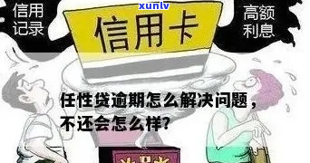 任性付呆账变逾期如何解决