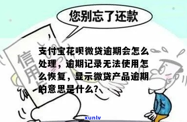 支付宝提示有微贷商品逾期怎么办