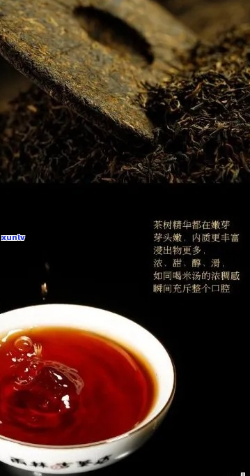 普洱茶京东自营