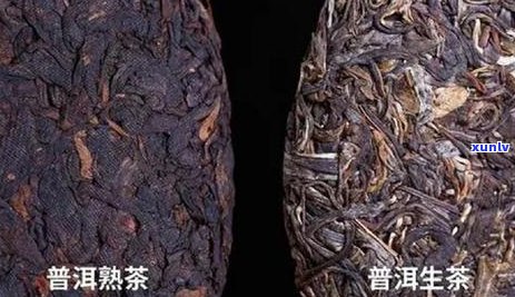 什么体质不适合喝普洱茶熟茶？