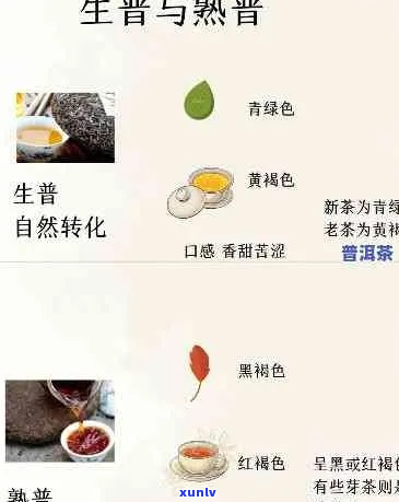 普洱茶叶色彩分析：探索不同年份与品种的色泽变化