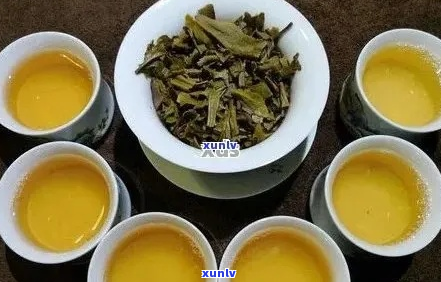 普洱茶叶色彩分析：探索不同年份与品种的色泽变化