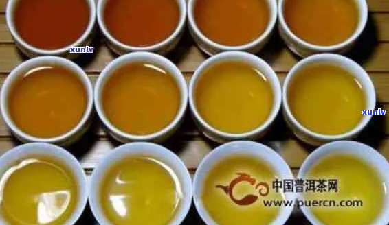 普洱茶的颜色：全面解析其色泽特征与分类