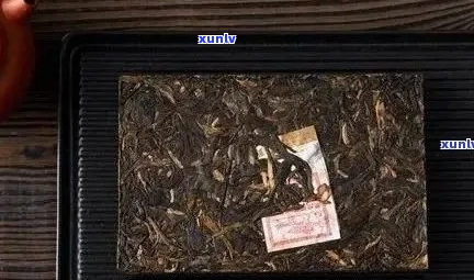 冰岛茶砖属于什么茶种？探索冰岛茶的历与品质特征