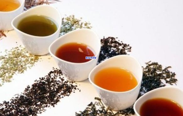 熟普洱茶与黑茶哪个降压好