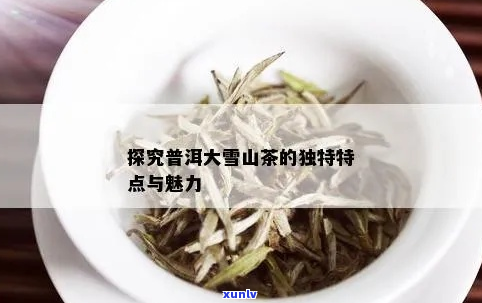 探索凤庆大雪山普洱茶的独特魅力：品鉴其口感与风味