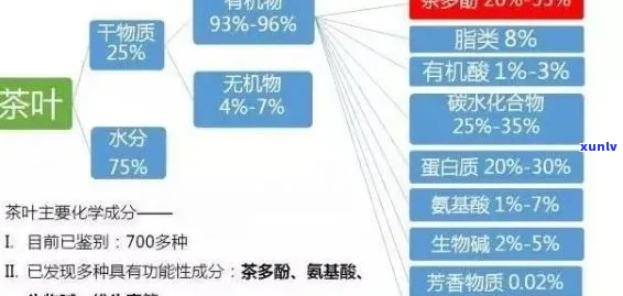 标题新撰写：普洱茶中含有氨基酸吗