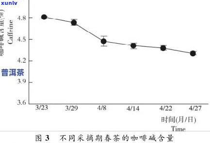 普洱生茶的氨基酸含量：深入了解与应用