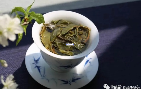 森屿普洱茶：探寻顶级茶文化的精髓所在