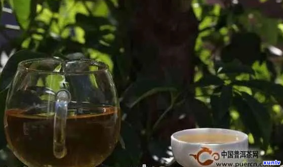 人生就像普洱茶：品味与成长的旅程