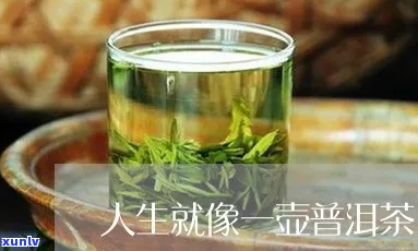 生活就像普洱茶