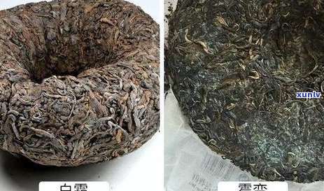 如何辨别普洱茶是否变质？从外观到味道的全方位解析