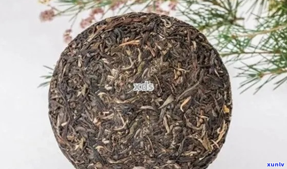 普洱茶压饼和散料有哪些区别？