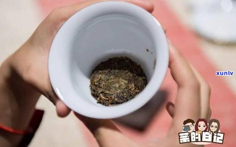 普洱散料自己压饼