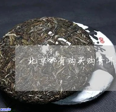 北京哪里能买到普洱茶