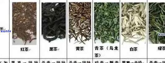 上名茶全览：探索江西名产茶叶的多样性与魅力