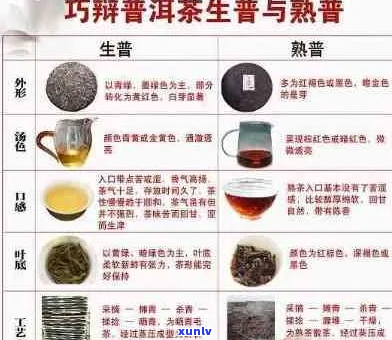 普洱茶购买与品鉴指南：全面解析普洱茶的产地、种类及冲泡技巧