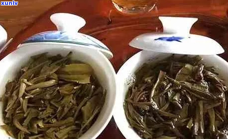 圆圆的普洱茶是生茶吗