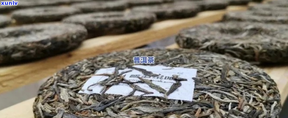 圆圆的普洱茶是生茶吗