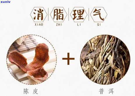 陈皮普洱茶的功效和副作用禁忌是什么？