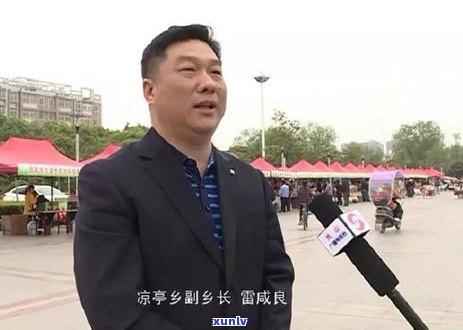 如何根据一亩地的茶叶需求合理肥以提升产量与品质？