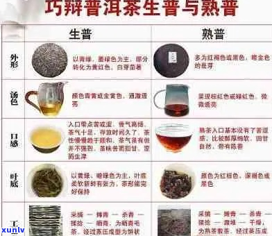 普洱茶的顶级选择：探索大普洱茶，满足您对品质和口感的所有需求