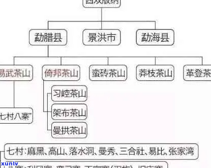 普洱茶山头特色介绍与品鉴指南