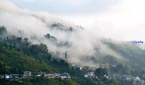 普洱茶其它山头是什么茶