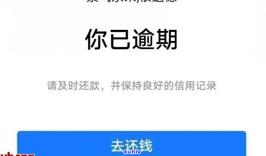 支付宝逾期一年怎么办还能恢复正常使用吗