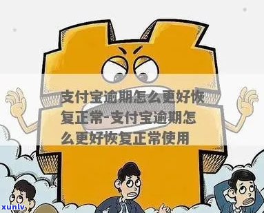 支付宝逾期一年怎么办还能恢复正常使用吗