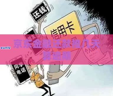 京东金条逾期20多月还款