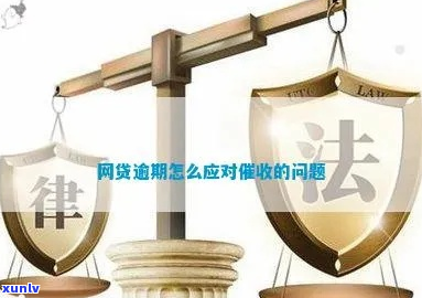 网贷逾期怎么找律师来解决问题