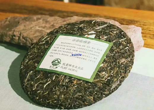 西双版纳哪家普洱茶好