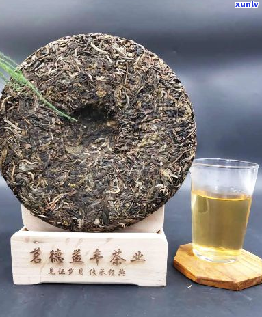 西双版纳哪家普洱茶好