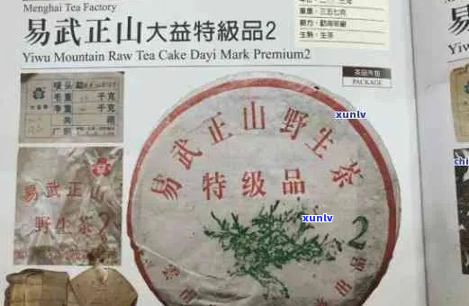 天茶业百年老班章系列2006年份珍藏品介绍及鉴指南