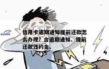 金融欠款违约短信通知该如何处理