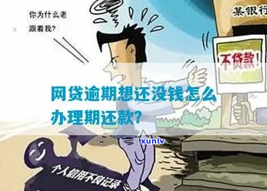 网上贷款逾期还款怎么处理需要哪些措