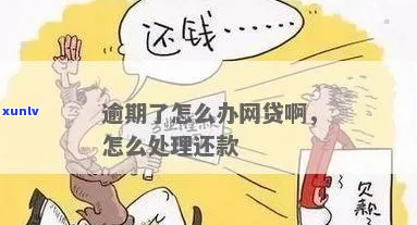 网上贷款逾期还款怎么处理需要哪些措