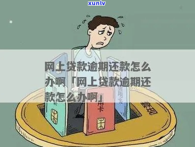 网上贷款逾期还款怎么处理需要哪些措