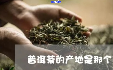 '普洱茶都是哪里的特产，普洱茶产地在哪里，普洱茶产自哪里？'