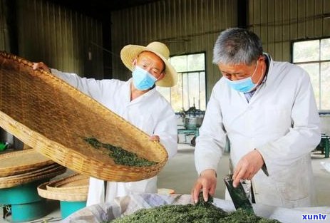 普洱茶传统制茶工艺：杀青与搓揉技巧详解